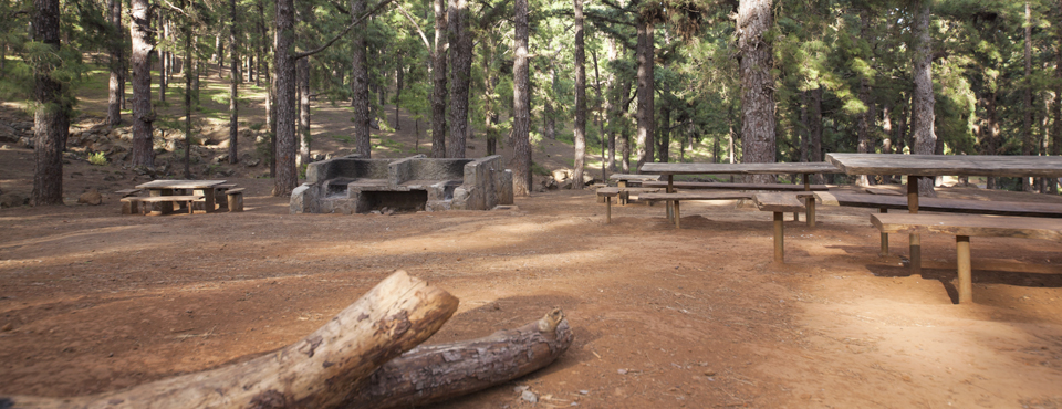 Reapertura areas recreativas y zonas acampada