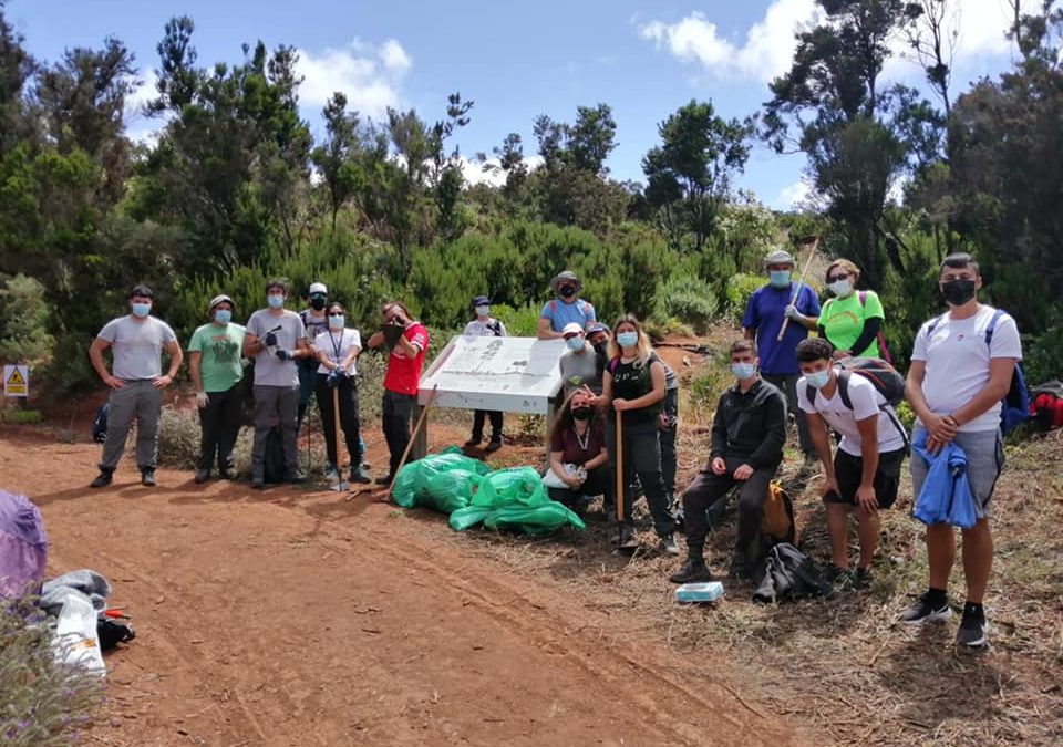 Actividad de voluntariado ambiental del Gmt Tenerife