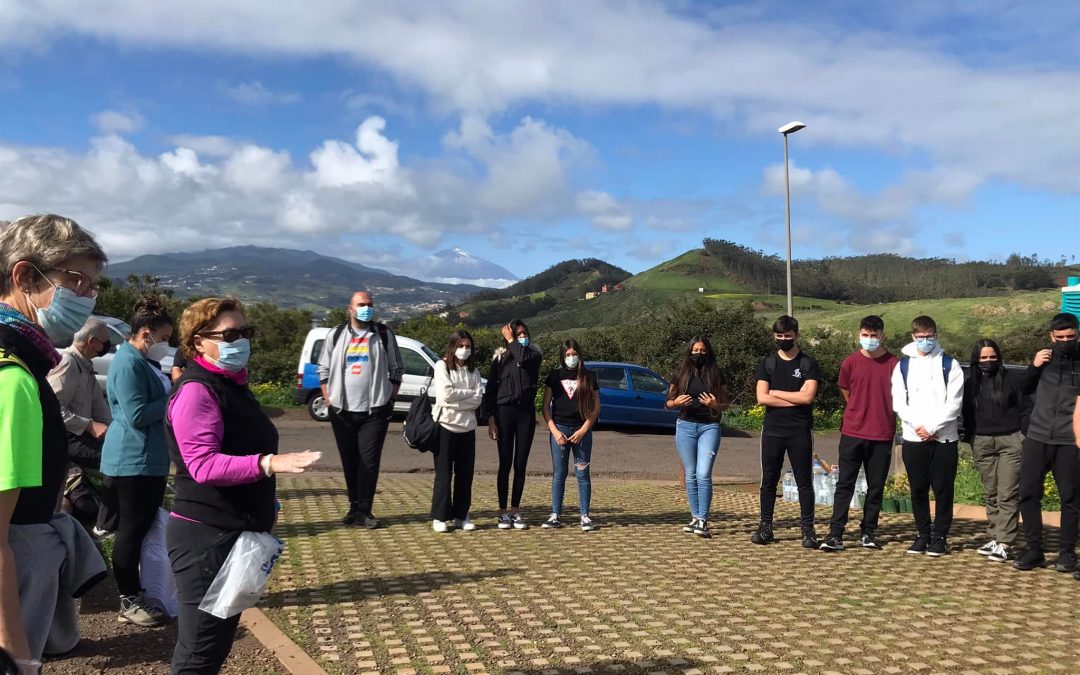 Gmt Tenerife Actividad medioambiental en la Mesa Mota