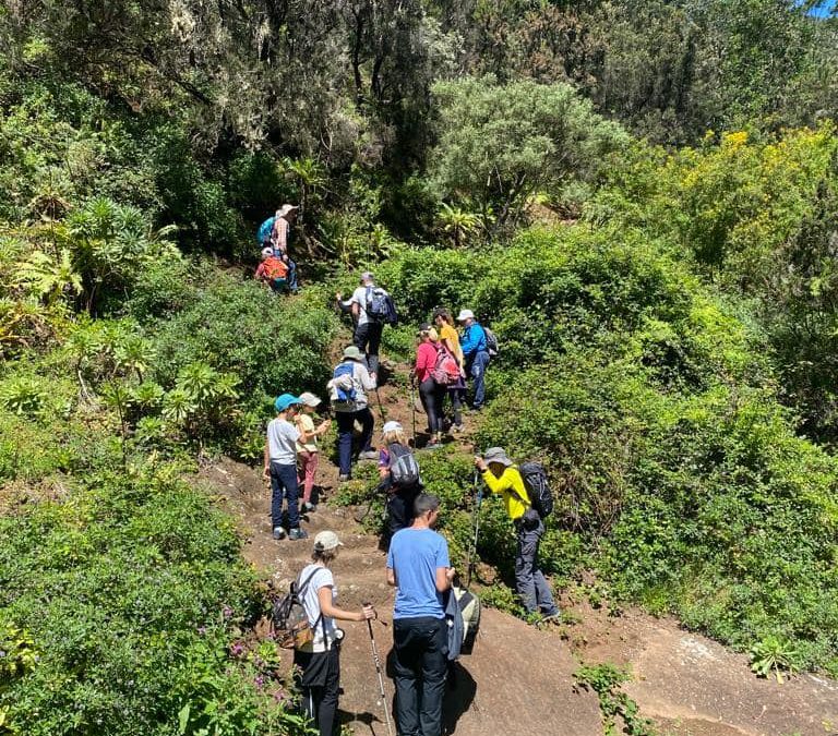 Gmt Tenerife – Las Carboneras-senderos de los Cabocos-las Carboneras-Chinamada-Mirador de Aguaire-Chinamada