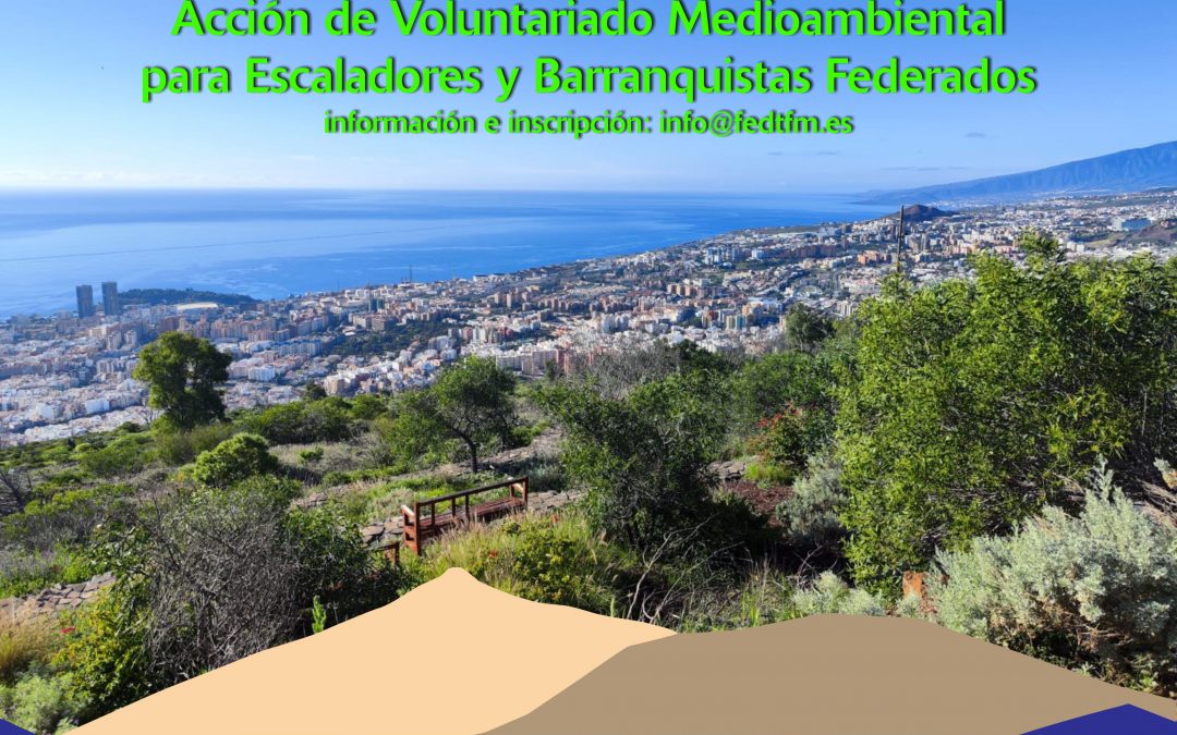 Acción de Voluntariado Medioambiental en el Monte de Las Mesas de Santa Cruz